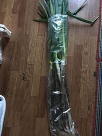 土付きの ネギ 長期保存したいのですが 良い方法 教えてください 秋 Yahoo 知恵袋