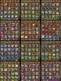 女神 パズドラ 裏 双極 の