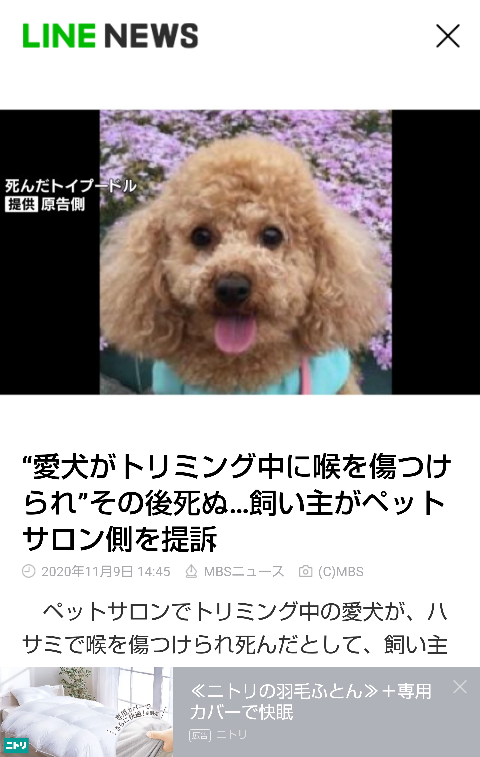 ペットサロンでトリミング中の愛犬が ハサミで喉を傷つけられ死んだとして Yahoo 知恵袋