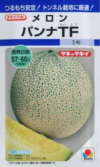 メロンのf 1のタネだけでは実はならないの 台木用の種又 Yahoo 知恵袋