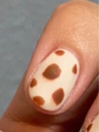 ちょっとぼやけていますがこういうダルメシアンのネイルをしたいです ジェル Yahoo 知恵袋