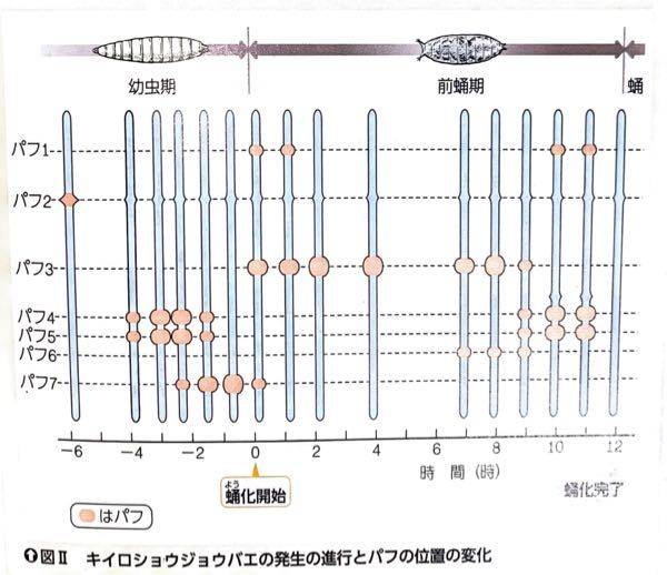 高校生物に関する問題です 次の問に対する答えを教えてください ショ Yahoo 知恵袋