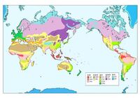 ケッペンの気候区分をこの表ごと覚えないと問題解けないですよね 風 Yahoo 知恵袋