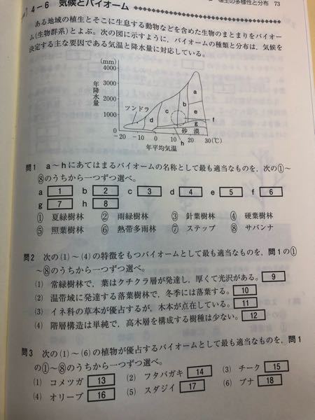 硬葉樹林 に関するq A Yahoo 知恵袋