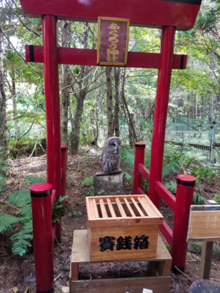 長野県にあるふくろう神社って今もありますか 長野県に 本 Yahoo 知恵袋