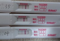 化学流産でしょうか 妊娠検査薬を載せてます 先月移植 Yahoo 知恵袋
