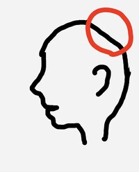 絶壁頭で悩んでいます ポニーテールをしたいのですが 変になっ Yahoo 知恵袋