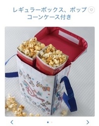 東京ディズニーランドに海外パークのポップコーンケースを持ち込むことは大丈夫で Yahoo 知恵袋