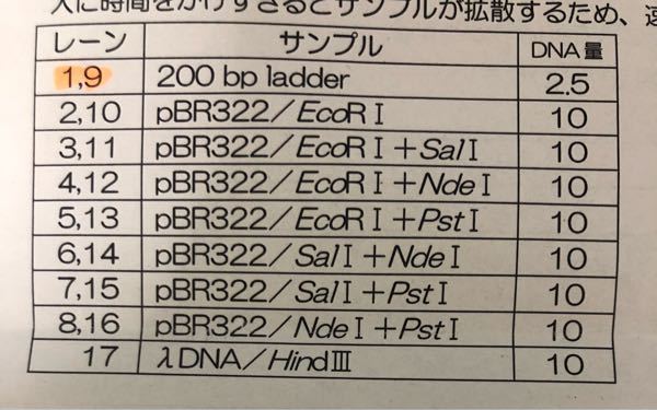 制限酵素地図 に関するq A Yahoo 知恵袋