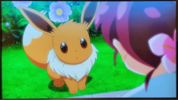 アニポケ ポケモン 今回のお話 スイレンのナギサ イ Yahoo 知恵袋