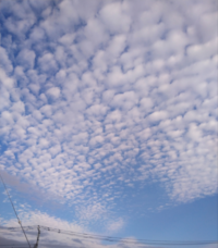 この雲はうろこ雲ですか 2 3日前に撮りました Yahoo 知恵袋