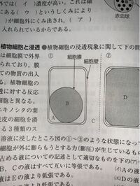 高校生物発展 の図で A B Cの液は全て互いに等張であ Yahoo 知恵袋