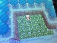 ポケモンｂｗの野生乱数 ゆれる草むら 砂煙 気泡 についてで Yahoo 知恵袋