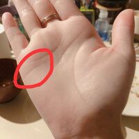 普通は3本線だと思うのですが わたしの右手は4本線あります Yahoo 知恵袋