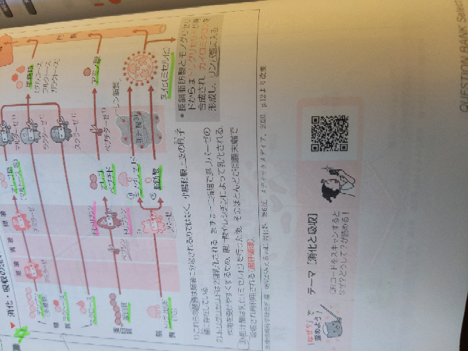 QBとかレビューブックって、自分が国試を受ける一年前のものを買った