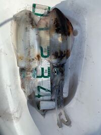 アオリイカを締めずに持って帰ると何がダメなのでしょうか Yahoo 知恵袋