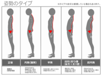 姿勢が良い人は背筋が鍛えられてるの 背筋と腹筋だな Yahoo 知恵袋