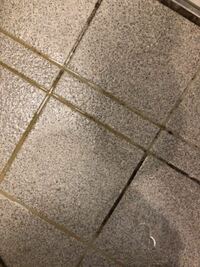 タカラスタンダードの浴室で、磁気タイルの床なんですが、 黒くかびているんですが、これをきれいに掃除する方法はあるんでしょうか？