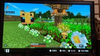 Switchマインクラフト蜂について スイッチのマイクラで シルク Yahoo 知恵袋