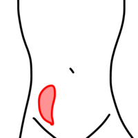 下 腹部 生理 痛 右 前 女性の右下腹部の痛み｜チクチク・鈍痛は大丈夫？病院は何科？受診目安も