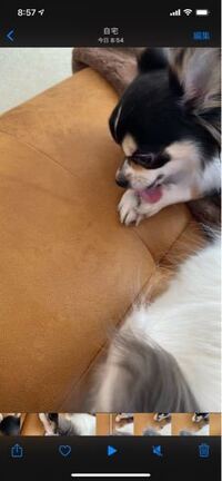 嘔吐を繰り返し病院で点滴したら余計にぐったりして元気がありませ Yahoo 知恵袋