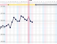 これは高温期ガタガタですか 黄体機能不全の人の基礎体温もこんな感じでしょ Yahoo 知恵袋