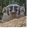 私はyoutubeが嫌いです 動画を見るのは嫌いではなく ニコニコ動 Yahoo 知恵袋