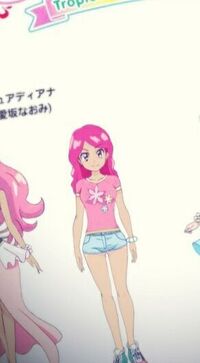 これ トロピカルージュプリキュアの追加戦士ですか 追加戦士がピンクは初で Yahoo 知恵袋