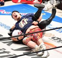 プロレスで3カウント獲る為に使う このフォール技の名称を教えて下さい Yahoo 知恵袋