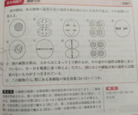 はg1期にある 体細胞 の染色体の数と書いてあります 減数分裂ではニ価 Yahoo 知恵袋