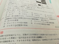 母子家庭で育った女の子ってモンスターになると思いませんか 最近 気付い Yahoo 知恵袋