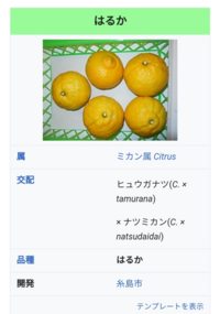 漢字の足し算です 口利号魚木で出来る漢字は何ですか 何文字なの Yahoo 知恵袋