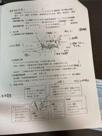 北アメリカについての問題です 解説お願いします 読めない Yahoo 知恵袋