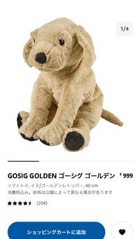 ぬいぐるみ依存症 病院に行くべきなのでしょうか 今さっきネ Yahoo 知恵袋