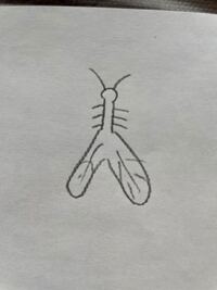 スティッチのピンクバージョンみたいな女の子の名前は何ですか Yahoo 知恵袋