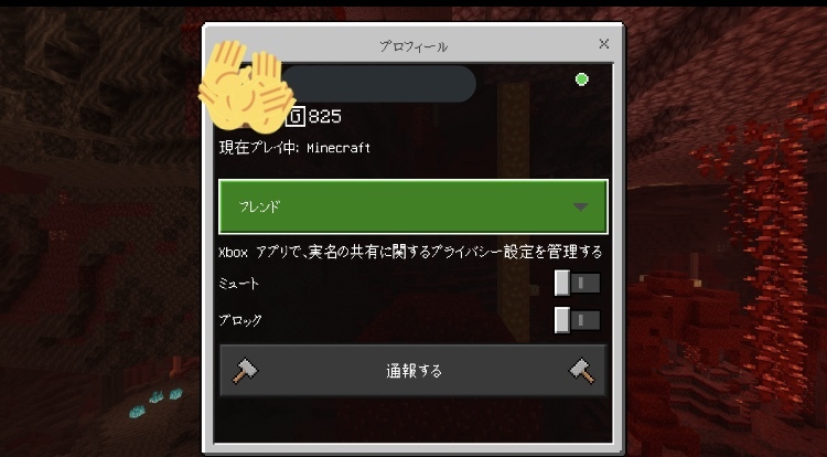 マインクラフト 解決済みの質問 Yahoo 知恵袋