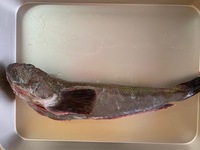 お魚の名前と食べ方を教えて下さい 友人からいただきました 入れ Yahoo 知恵袋