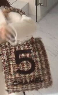 シャネルのこれ いくらですか 25万くらい Yahoo 知恵袋