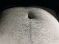 中学3男子です 俺は腹毛かや胸毛 すね毛など全身に毛が生えています Yahoo 知恵袋