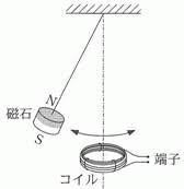 ナズナは 合弁花類ですか それとも離弁花類ですか ナズナはアブラナ科で Yahoo 知恵袋