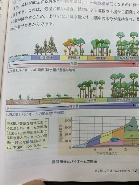 雨緑樹林 に関するq A Yahoo 知恵袋