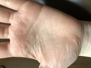 タロット 誕生日 手相等で占いお願いしたいです 1994年1月 Yahoo 知恵袋