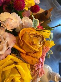花びらが写真のように変色してしまいました 原因と長持ちさせ Yahoo 知恵袋