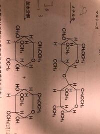 糖類のヒドロキシ基をメチル化したあと加水分解した時 多糖の右端 Yahoo 知恵袋