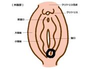 バルトリン腺の穴付近 が腫れてるのって病院に行った方がいいですか 先々週 Yahoo 知恵袋