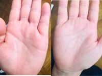 ホロボックル様 初めまして 色んな方が手相占いされてるのを見て私も Yahoo 知恵袋