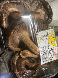 生しいたけってどれくらいもちますか 1週間たったんですけど食べれます Yahoo 知恵袋