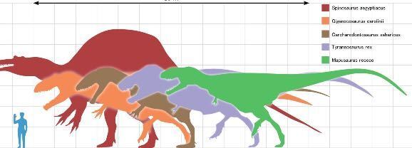 ティラノサウルスに対抗出来る可能性が 一番高いと思われる肉食恐竜は以下の Yahoo 知恵袋