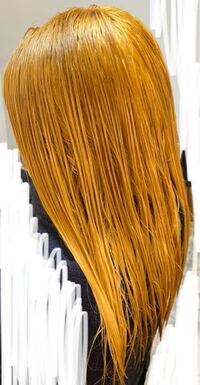 至急 この髪色に紫シャンプーを使うと緑になると思いますか 緑 Yahoo 知恵袋