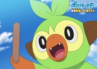 アニポケ新無印で ゴウとヒバニーゴウとメッソンゴウとサルノリそれぞれ色んなエピ Yahoo 知恵袋